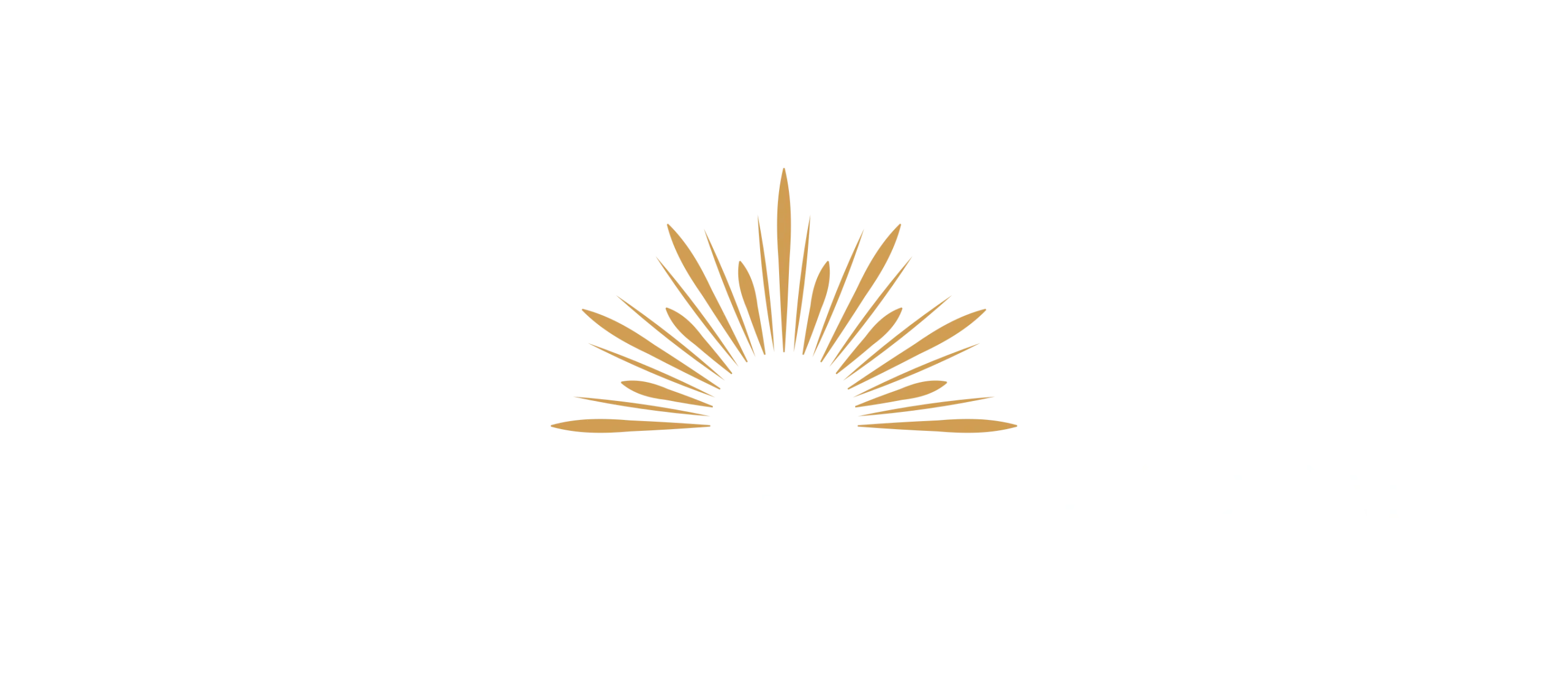 Holistic Health Wisdom